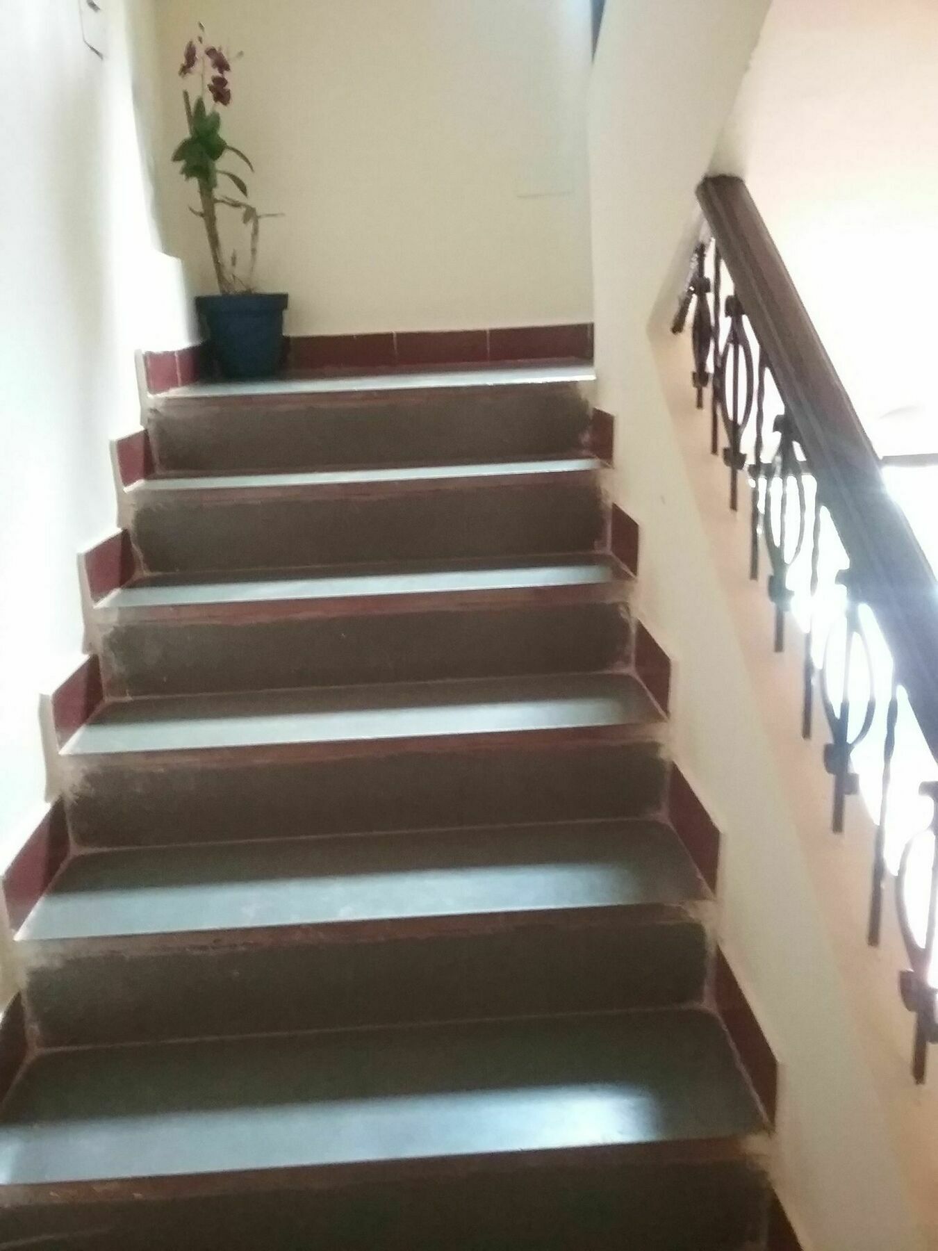 Hotel Baga Villa Bnb Saligao Kültér fotó