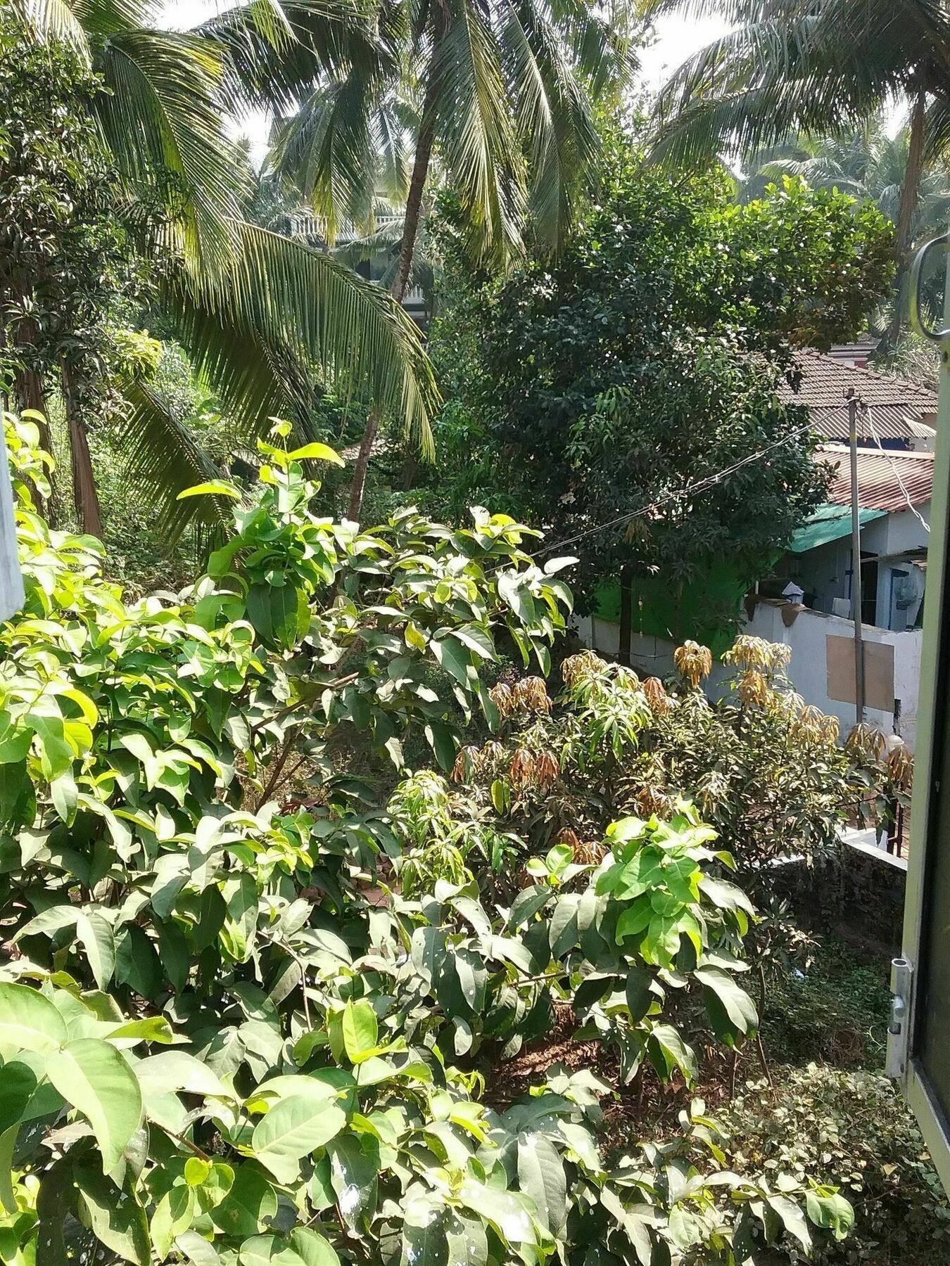 Hotel Baga Villa Bnb Saligao Kültér fotó